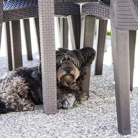 Mari E Luci Alojamento de Acomodação e Pequeno-almoço Nurachi